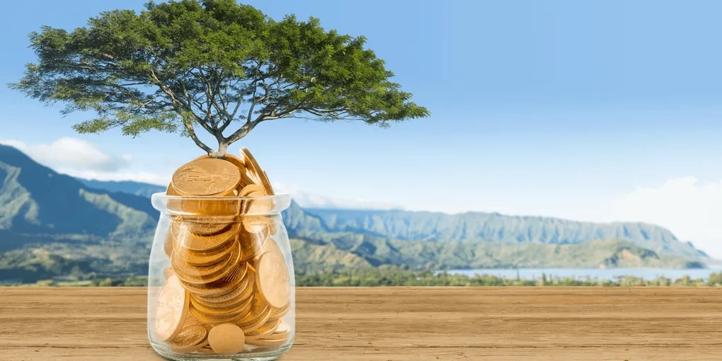 Cover image for Healthy and Wealthy Are Erroneous