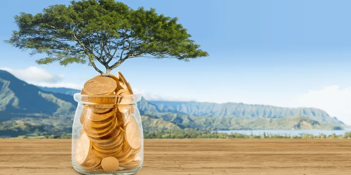 Cover image for Healthy and Wealthy Are Erroneous