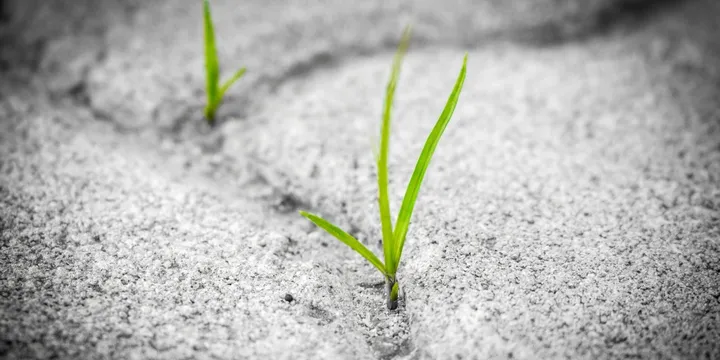 Cover image for What’s The Foundation Of Our Hope