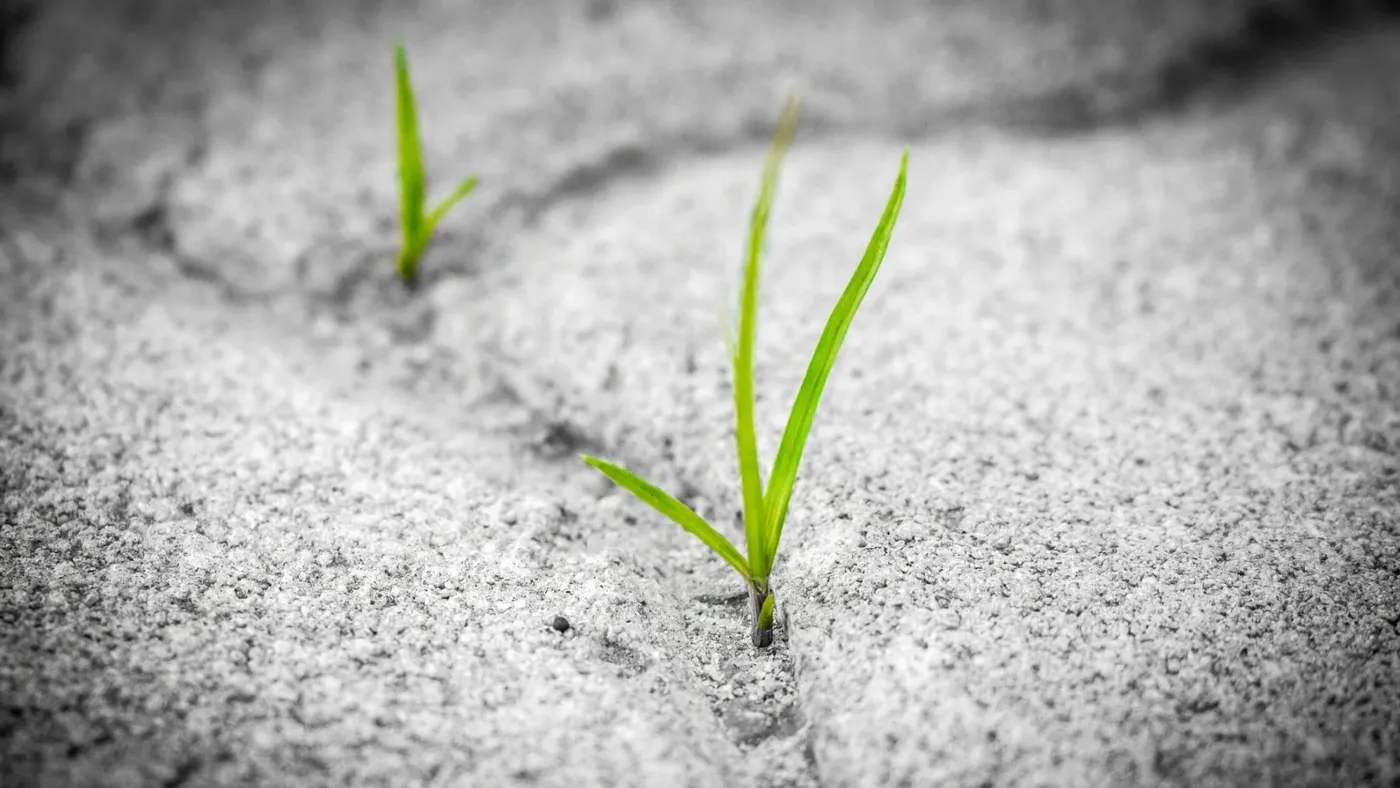 Cover image for What’s The Foundation Of Our Hope